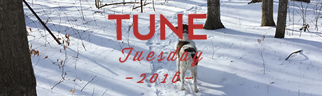 March 8 Tune Tuesday - Feature Image